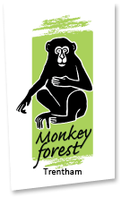  Trentham Monkey Forest